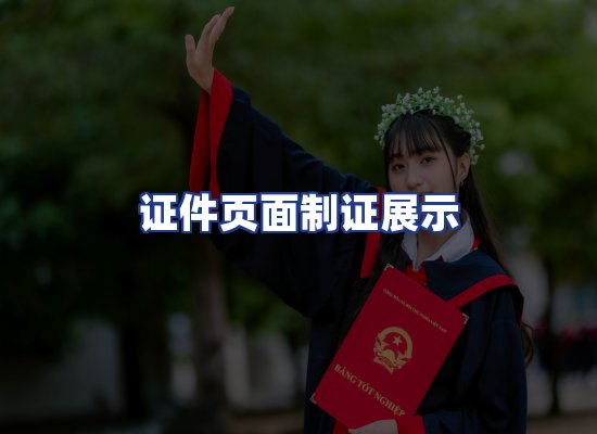 证件页面制证展示