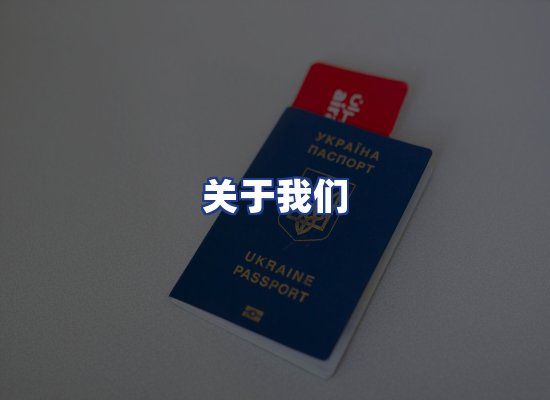 专业团队